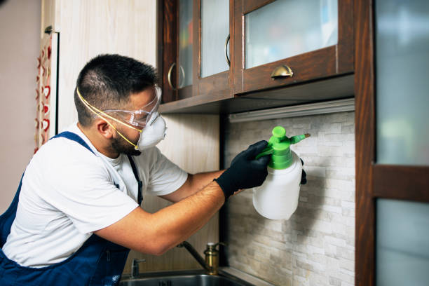 Best Wildlife Control Services  in Winchester, KY