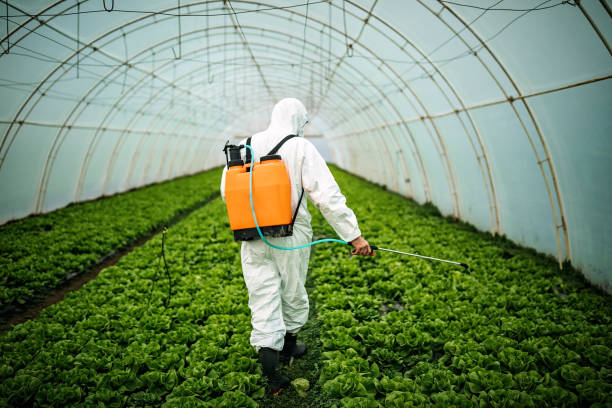 Pest Control Cost in Winchester, KY