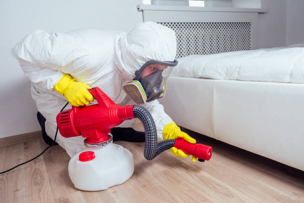 Best Flea Control Services  in Winchester, KY