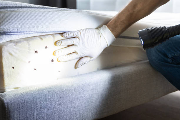 Best Mosquito Control Services  in Winchester, KY