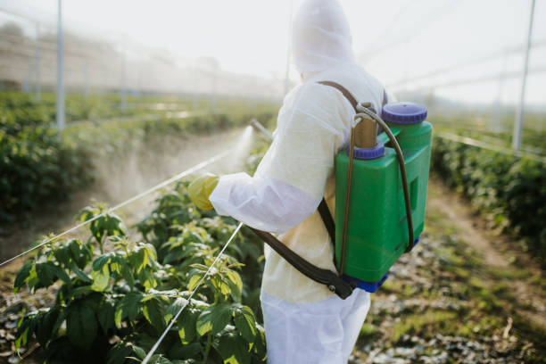 Best Best Pest Control Companies  in Winchester, KY